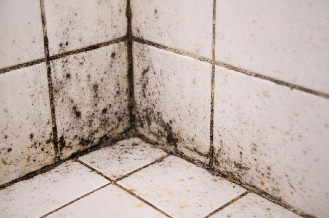 浴室磁磚縫變黑、發霉怎麼辦？從清潔到排風設計與濕區規劃的重要性